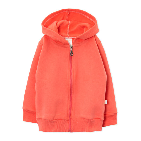 104213Campera con capucha - Imagen 3