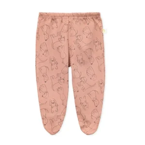 141535Medio osito perritos