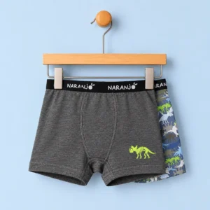 15811Set x 2 boxer nene